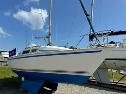 1990 Jaguar 24