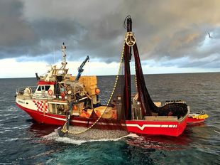 22m Fishing Vessel