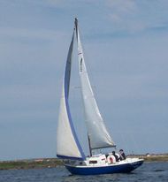 Wing 25 classic sailing yacht