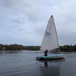 Lightning 368 (Similar to Solo)