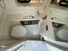 2020 Sea Ray SLX 350 Outboard