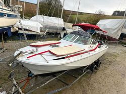 Twin engine 1989 Boston Whaler