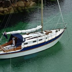 1978 Golden Hind 31