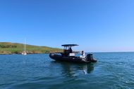 2025 Tiger Proline 740 w/ exclusive Suzuki 240HP Stealth Line Engine