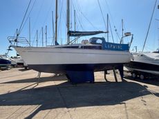1983 Lynx 29