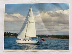 Twister 28