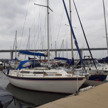 Westerly Merlin Pintle Rudder