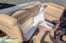 2020 Sea Ray 250 SLX