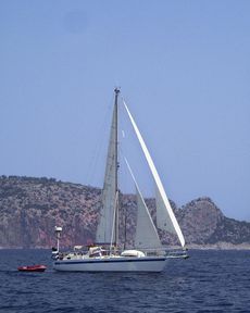 Feltz 38ft Steel Cutter
