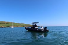 2025 Tiger Proline 740 w/ exclusive Suzuki 240HP Stealth Line Engine