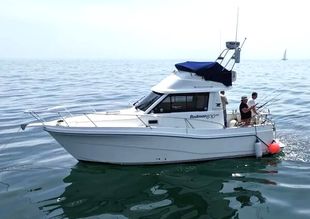 2010 Rodman 870 Fly