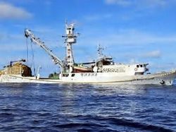 TUNA PURSE SEINER