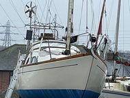 Kings Cruiser 29