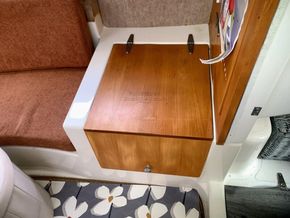 Shetland Family Four  - Heads