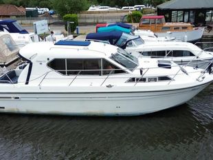 Haines 31
