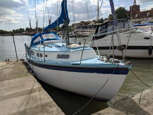 1973 Snapdragon 27