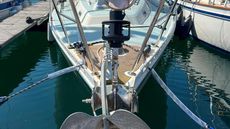Rustler 36