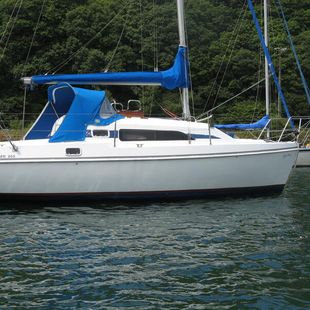 Hunter Ranger 265