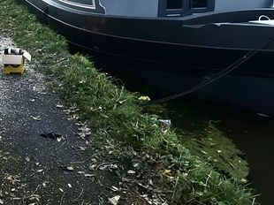 60 ft 2020 Collingwood Euro Cruiser