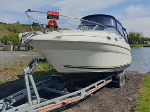 Sea Ray 260 Sundancer Cuddy Cabin 310hp