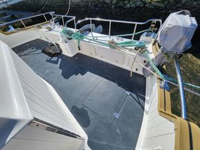 One off Build Motor Catamaran Liveaboard - Foredeck