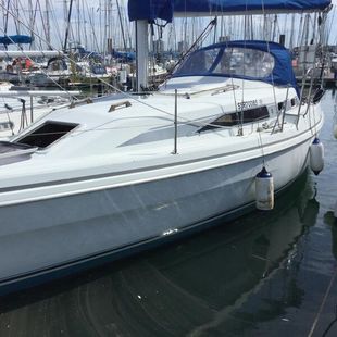 Hunter Channel 323.   