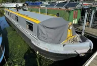 Springer 49
