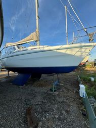Hunter horizon 32