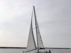 Colvic UFO 27