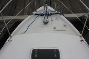 Trusty T23  - Foredeck