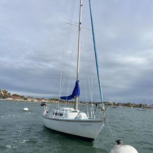Hurley 22