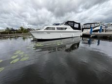 Viking 26 Golden Crown