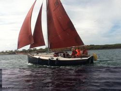 Cape Cutter 19 Trailer Sailor for sale