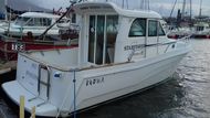 Motor Cruiser STARFISHER 840 WA