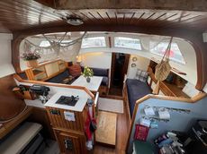 Rorqual 44