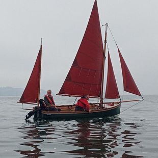 Kittiwake 14