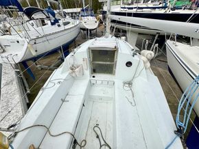 IMG 4680