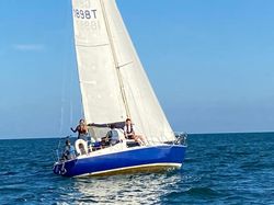 Albin Scampi 30
