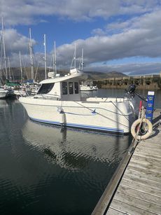 Arvor 25