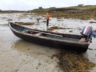 Currach 19 ft