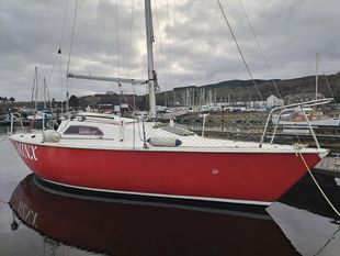 Hunter Sonata 7