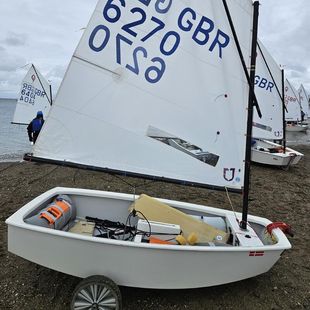 Winner 3D Star Optimist GBR 6270