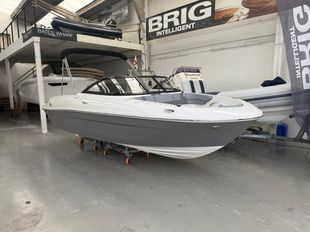 2026 Bayliner VR4