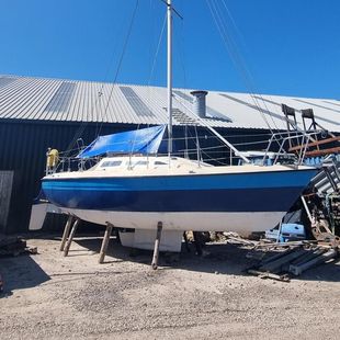 Dolly Blue 27' Caravela