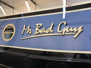 Mr Bad Guy