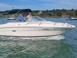 2001 Sea Ray Weekender 225
