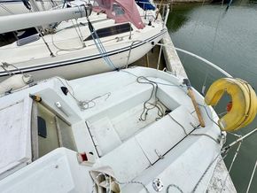 IMG 4678