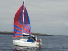 Hunter Ranger 265