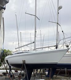 Hunter Horizon 30