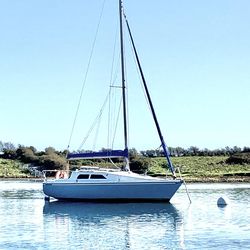 Hunter Delta 25 "Wild Honey" Strangford Lough